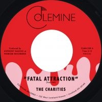 The Charities - Fatal Attraction / It's Not Our Tim in the group OUR PICKS / Friday Releases / 2025-04-04 at Bengans Skivbutik AB (5588158)