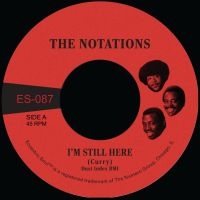 The Notations - I'm Still Here B/W What More Can I in the group OUR PICKS / Friday Releases / 2025-04-04 at Bengans Skivbutik AB (5588177)