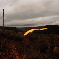 Quade - The Foel Tower in the group OUR PICKS / Friday Releases / 2025-04-18 at Bengans Skivbutik AB (5588271)