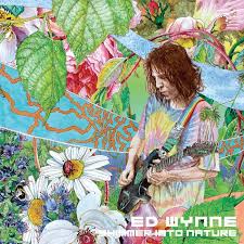 Wynne Ed - Split Seams/Vikt Hörn Shimmer Into Nature in the group VINYL / Pop-Rock at Bengans Skivbutik AB (5588369)