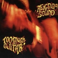 Reigning Sound - Too Much Guitar in the group CD / Pop-Rock at Bengans Skivbutik AB (558943)