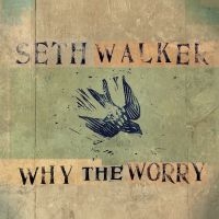 Walker Seth - Why The Worry in the group OUR PICKS / Friday Releases / 2025-04-04 at Bengans Skivbutik AB (5589465)
