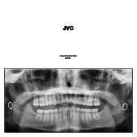 Jack Van Cleaf - Jvc in the group OUR PICKS / Friday Releases / 2025-05-09 at Bengans Skivbutik AB (5589661)