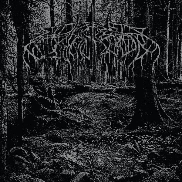 Wolves In The Throne Room - 2005 Demo in the group VINYL / Hårdrock at Bengans Skivbutik AB (5590073)
