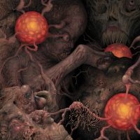 Various Artists - Sheol 4-Way Split in the group OUR PICKS / Friday Releases / 2025-04-11 at Bengans Skivbutik AB (5590089)