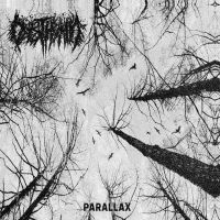 Dysthymia - Parallax in the group OUR PICKS / Friday Releases / 2025-04-11 at Bengans Skivbutik AB (5590091)