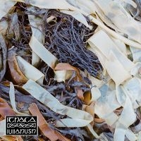 Lullahush - Ithaca in the group OUR PICKS / Friday Releases / 2025-04-25 at Bengans Skivbutik AB (5590190)
