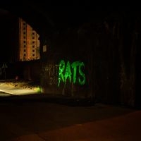 Rats - Rule The World in the group OUR PICKS / Friday Releases / 2025-05-09 at Bengans Skivbutik AB (5590547)