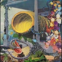 Memotone - Pruning in the group OUR PICKS / Frontpage - Vinyl New & Forthcoming at Bengans Skivbutik AB (5590728)