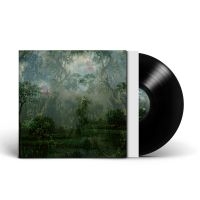 Twice A Man - Coloured Breeze Is A New Dimension in the group VINYL / Upcoming releases / Elektroniskt,Pop-Rock,Svensk Musik at Bengans Skivbutik AB (5591043)