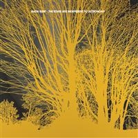 Nada Surf - The Stars Are Indifferent To Astron in the group CD / Pop-Rock at Bengans Skivbutik AB (5591280)