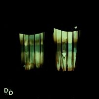 Divide And Dissolve - Insatiable (Green Vinyl) in the group OUR PICKS / Friday Releases / 2025-04-18 at Bengans Skivbutik AB (5591381)