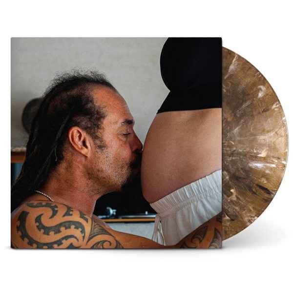 Michael Franti And Spearhead - Welcome To The Family in the group VINYL / Pop-Rock at Bengans Skivbutik AB (5591422)