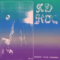 Organic Pulse Ensemble - Ad Hoc in the group OUR PICKS / Friday Releases / 2025-04-18 at Bengans Skivbutik AB (5591786)