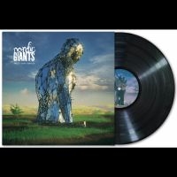 Nordic Giants - Amplify Human Vibration in the group OUR PICKS / Friday Releases / 2025-05-02 at Bengans Skivbutik AB (5591917)