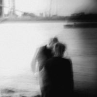 World Sanguine Report - Songs From The Harbour in the group OUR PICKS / Friday Releases / 2025-05-02 at Bengans Skivbutik AB (5592029)