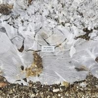 Barnes Tim - Lost Words in the group VINYL / Upcoming releases / Pop-Rock at Bengans Skivbutik AB (5592036)