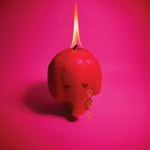Arcade Fire - Pink Elephant in the group VINYL / Pop-Rock at Bengans Skivbutik AB (5592355)