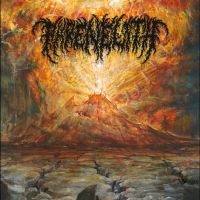 Phrenelith - Ashen Womb in the group VINYL / Pop-Rock at Bengans Skivbutik AB (5592376)