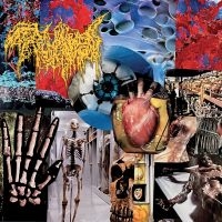 Trichomoniasis - Harvest Of The Killing Fields in the group CD / Upcoming releases / Hårdrock at Bengans Skivbutik AB (5592863)