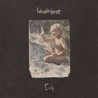 Wunderhorse - Cub (Crystal Clear Vinyl) in the group VINYL / New releases / Pop-Rock at Bengans Skivbutik AB (5593381)