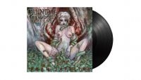 Cannibal Corpse - Worm Infested (Black Vinyl Lp) in the group VINYL / Upcoming releases / Hårdrock at Bengans Skivbutik AB (5594061)