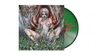Cannibal Corpse - Worm Infested (Splatter Vinyl Lp) in the group VINYL / Upcoming releases / Hårdrock at Bengans Skivbutik AB (5594062)