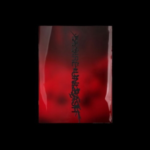 Enhypen - Desire : Unleash (Mine Ver.) in the group OTHER / Övrigt /  at Bengans Skivbutik AB (5594099)