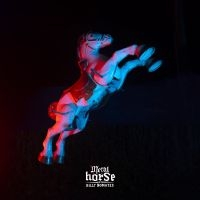 Billy Nomates - Metalhorse in the group CD / Upcoming releases / World Music at Bengans Skivbutik AB (5594101)