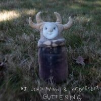 Mj Lenderman & Wednesday - Guttering in the group VINYL / Upcoming releases / Pop-Rock at Bengans Skivbutik AB (5594106)