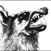 Crippled Black Phoenix - I, Vigilante in the group VINYL / Pop-Rock at Bengans Skivbutik AB (5594235)