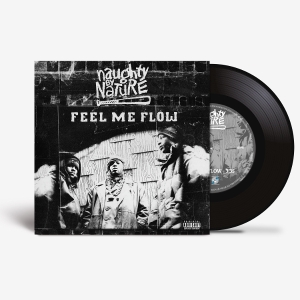 Naughty By Nature - Feel Me Flow in the group OTHER / Övrigt /  at Bengans Skivbutik AB (5594351)