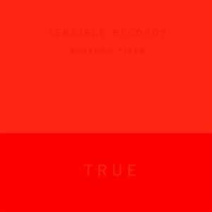 Solange - True in the group Julspecial19 at Bengans Skivbutik AB (559513)