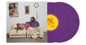 Aminé - 13 Months Of Sunshine (Purple Vinyl Edition) in the group OUR PICKS / Bengans Staff Picks / Handpicked hip-hop through the years at Bengans Skivbutik AB (5626920)
