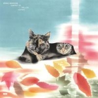 Eddie Marcon - Carpet Of Fallen Leaves in the group VINYL / Pop-Rock at Bengans Skivbutik AB (5627209)