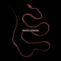 Throatcut - Resilience (Red/Black Marble) in the group VINYL / Upcoming releases / Hårdrock at Bengans Skivbutik AB (5627378)