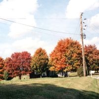 Vegas Water Taxi - Things Are Gonna Be Alright Extende in the group VINYL / Pop-Rock at Bengans Skivbutik AB (5627381)