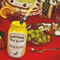 Scott Hepple And The Sun Band - English Mustard (Vinyl Lp) in the group VINYL / Upcoming releases / Pop-Rock at Bengans Skivbutik AB (5627539)