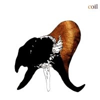 Coil - Black Antlers (Ltd Clear Vinyl) in the group VINYL / Dance-Techno at Bengans Skivbutik AB (5627832)