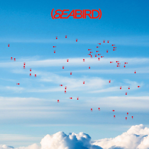 Whyb - Seabird in the group VINYL / New releases / Elektroniskt at Bengans Skivbutik AB (5627902)