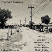 The Dark Flowers - Indian Summer in the group CD / Upcoming releases / Pop-Rock at Bengans Skivbutik AB (5628001)