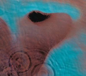 Pink Floyd - Meddle in the group VINYL / Pop-Rock at Bengans Skivbutik AB (5628759)