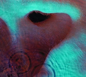 Pink Floyd - Meddle in the group CD / Upcoming releases / Pop-Rock at Bengans Skivbutik AB (5628760)