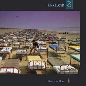 Pink Floyd - A Momentary Lapse Of Reason in the group OUR PICKS / Most popular vinyl classics at Bengans Skivbutik AB (5628763)