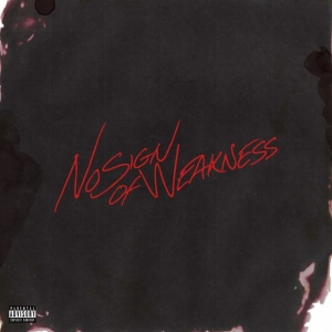 Burna Boy - No Sign Of Weakness in the group OUR PICKS / Friday Releases / 2025-07-11 at Bengans Skivbutik AB (5628997)