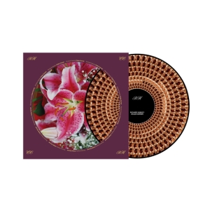 Richard Hawley - Coles Corner (Picture Vinyl) in the group VINYL / Upcoming releases / Pop-Rock at Bengans Skivbutik AB (5629030)