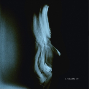 Tom Odell - A Wonderful Life in the group OUR PICKS / Friday Releases / 2025-09-05 at Bengans Skivbutik AB (5629411)