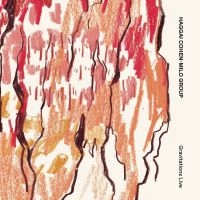 Cohen-Milo Haggai - Gravitations in the group CD / Upcoming releases / Jazz at Bengans Skivbutik AB (5629421)