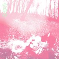 Shower Curtain - Words From A Wishing Well (Benadryl in the group VINYL / Upcoming releases / Pop-Rock at Bengans Skivbutik AB (5629449)