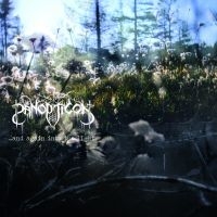 Panopticon - ...And Again Into The Light in the group CD / Upcoming releases / Hårdrock at Bengans Skivbutik AB (5629463)